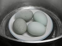 皮蛋跟鹹蛋入電鍋，半杯水蒸過